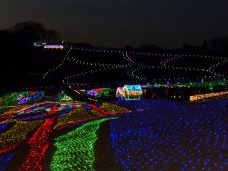 1-p1040161